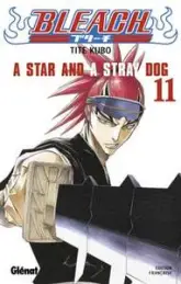 Bleach, tome 11 : A Star and a Stray Dog