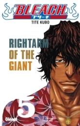 Bleach, tome 5 : Rightarm of the Giant