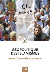 Géopolitique des islamismes