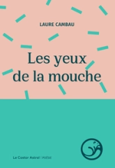 Les yeux de la mouche