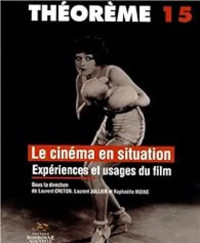 Le cinéma en situation : Expériences et usages du film