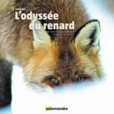 L'Odyssée du renard