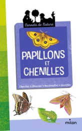 Papillons et chenilles