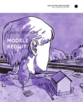 Modèle réduit