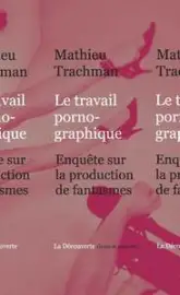 Le travail pornographique : Enquête sur la production de fantasmes