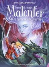 Malenfer, tome 4 : Les terres de magie (roman)