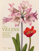 Les vélins