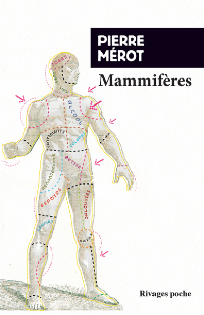 Mammifères