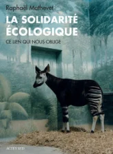 La solidarité écologie