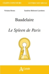 Baudelaire, Le Spleen de Paris