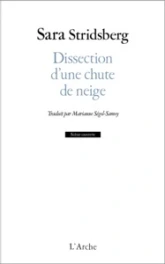 Dissection d'une chute de neige