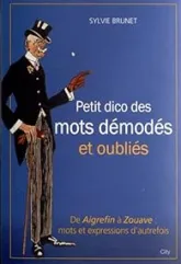 Petit dictionnaire des mots démodés et oubliés