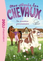 Mes amis les chevaux, tome 1 : Un nouveau pensionnaire