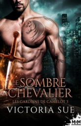 Le sombre chevalier