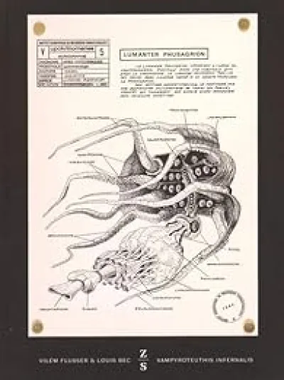 Vampyroteuthis Infernalis