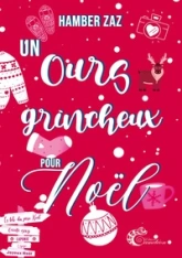 Un ours grincheux pour Noël